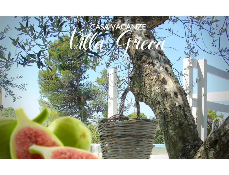 Casa Vacanze Villa Greca Martina Franca Buitenkant foto